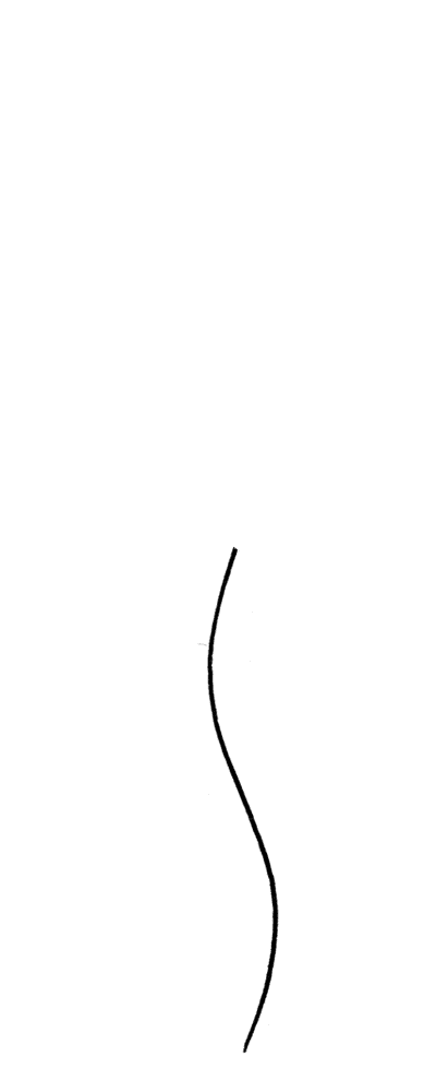Ballonschnur