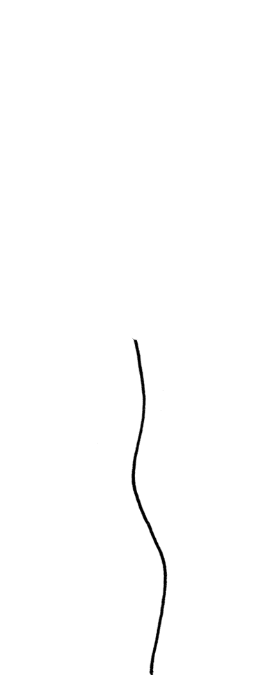 Ballonschnur